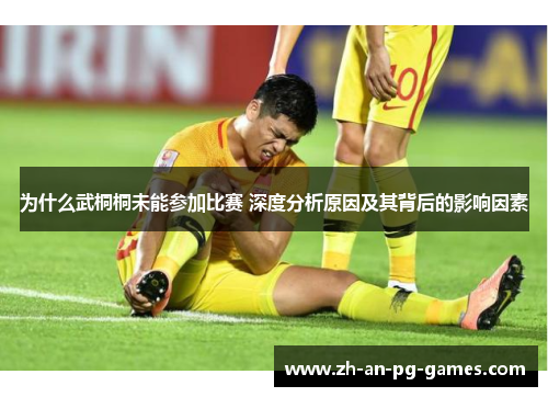 为什么武桐桐未能参加比赛 深度分析原因及其背后的影响因素