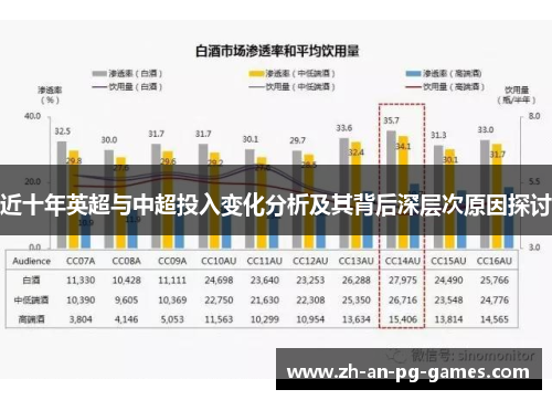 近十年英超与中超投入变化分析及其背后深层次原因探讨