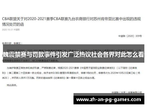 魏震禁赛与罚款事件引发广泛热议社会各界对此怎么看