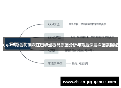 小卢卡斯为何屡次在巴黎坐板凳原因分析与背后深层次因素揭秘 小卢卡斯为何屡次在巴黎坐板凳原因分析与背后深层次因素揭秘